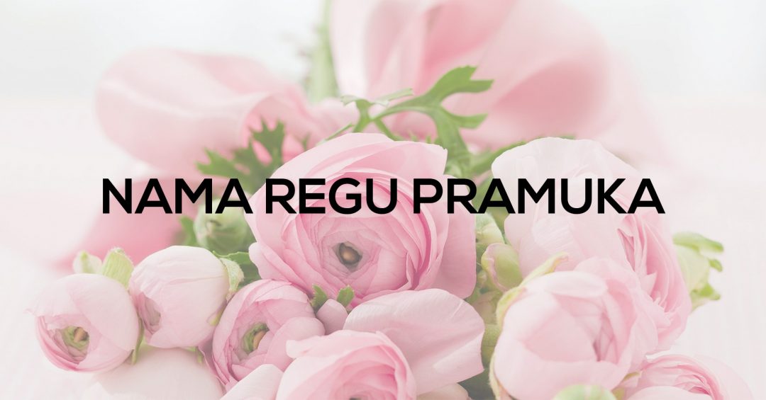 Detail Gambar Regu Pramuka Nomer 47