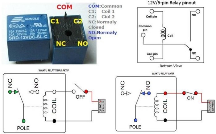 Detail Gambar Relay Kaki 5 Dan 4 Nomer 5