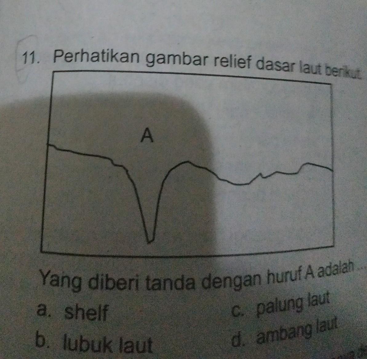 Detail Gambar Relief Dasar Laut Nomer 47