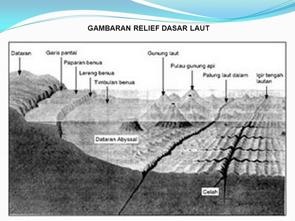 Detail Gambar Relief Dasar Laut Nomer 56