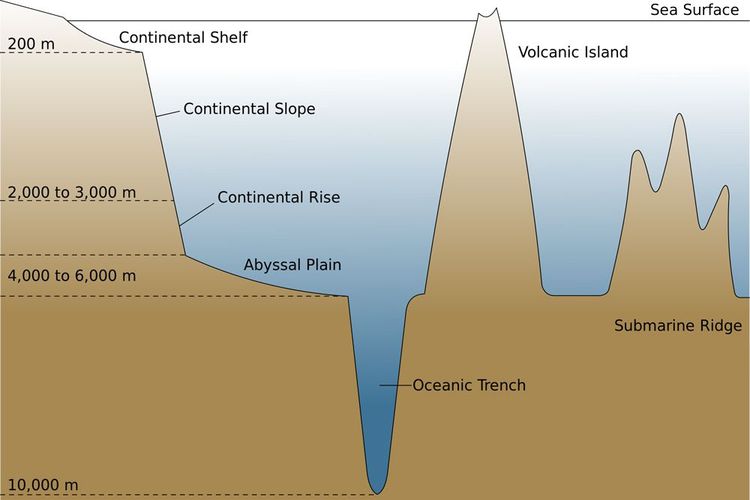 Detail Gambar Relief Dasar Laut Dan Keterangannya Nomer 2