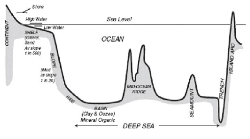 Detail Gambar Relief Dasar Laut Dan Keterangannya Nomer 20