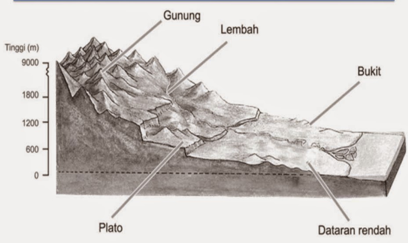 Detail Gambar Relief Dasar Laut Dan Keterangannya Nomer 21