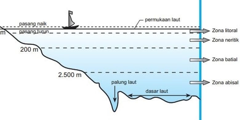 Detail Gambar Relief Dasar Laut Dan Keterangannya Nomer 25