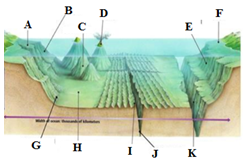 Detail Gambar Relief Dasar Laut Dan Keterangannya Nomer 31