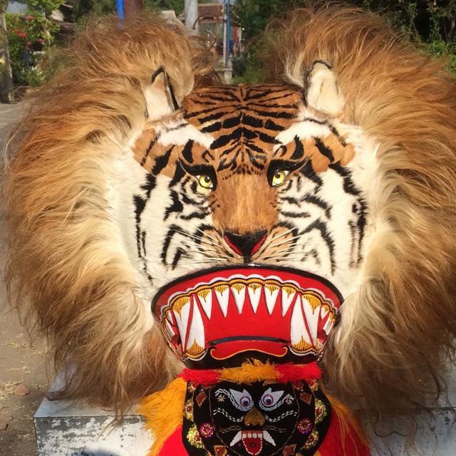 Detail Gambar Reog Ponorogo Asli Nomer 9