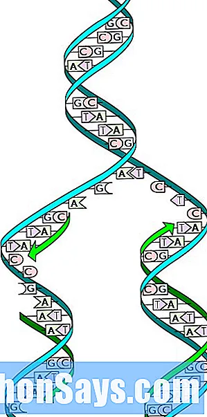 Detail Gambar Replika Dna Nomer 36