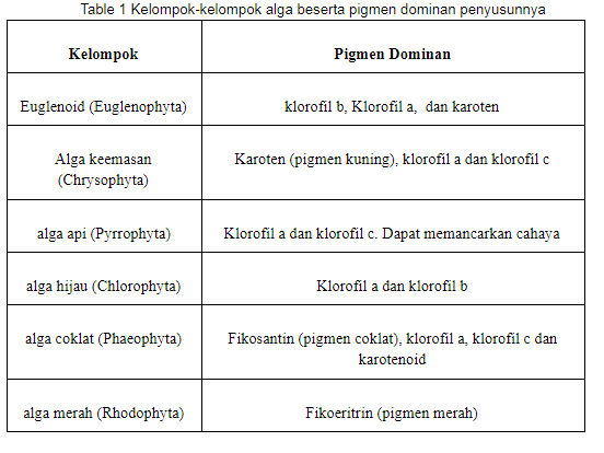 Detail Gambar Reproduksi Alga Merah Nomer 24