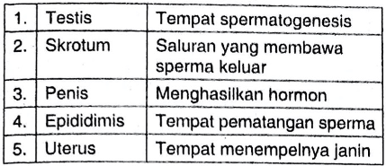 Detail Gambar Reproduksi Laki Nomer 50