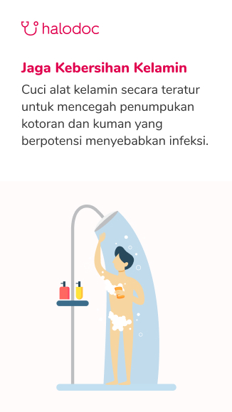 Detail Gambar Reproduksi Pria Nomer 41