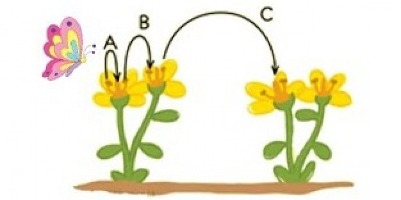 Detail Gambar Reproduksi Tumbuhan Nomer 29