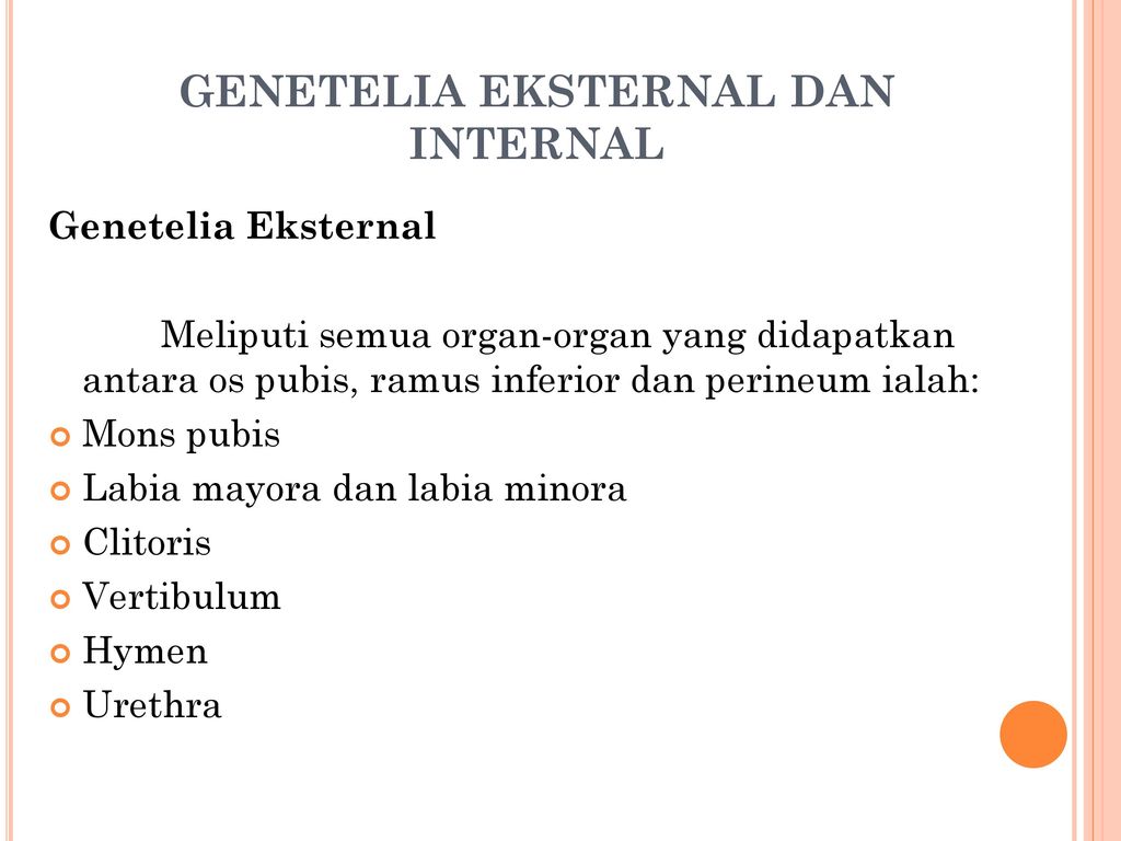 Detail Gambar Reproduksi Wanita Eksternal Nomer 39