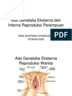 Detail Gambar Reproduksi Wanita Eksternal Nomer 49