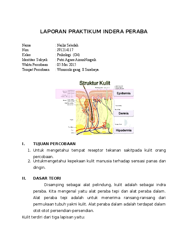 Detail Gambar Reseptor Kulit Nomer 46