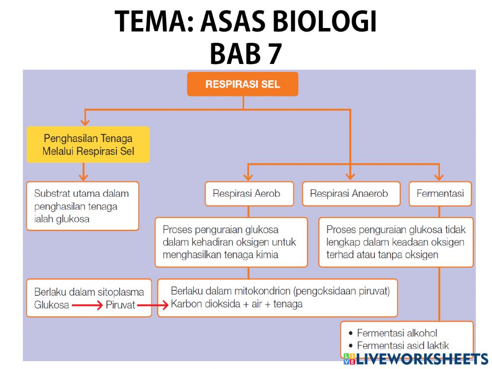 Detail Gambar Respirasi Sel Nomer 15