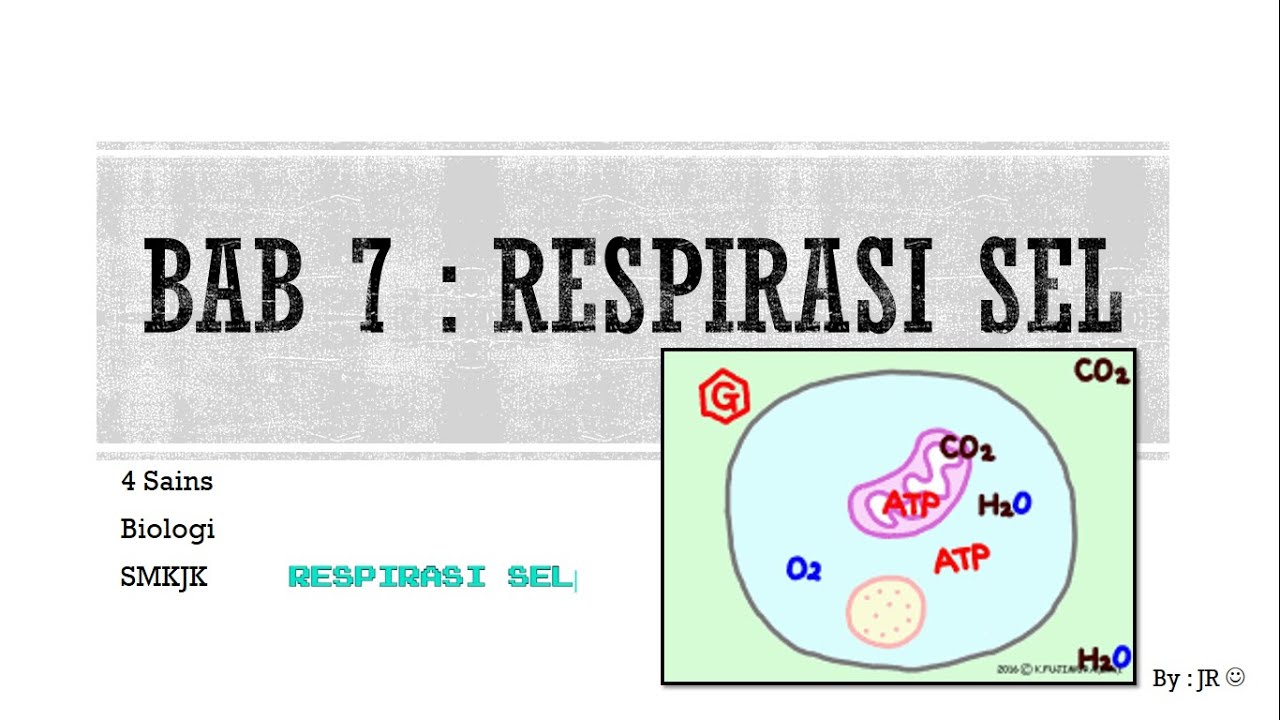 Detail Gambar Respirasi Sel Nomer 30