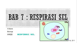 Detail Gambar Respirasi Sel Nomer 44