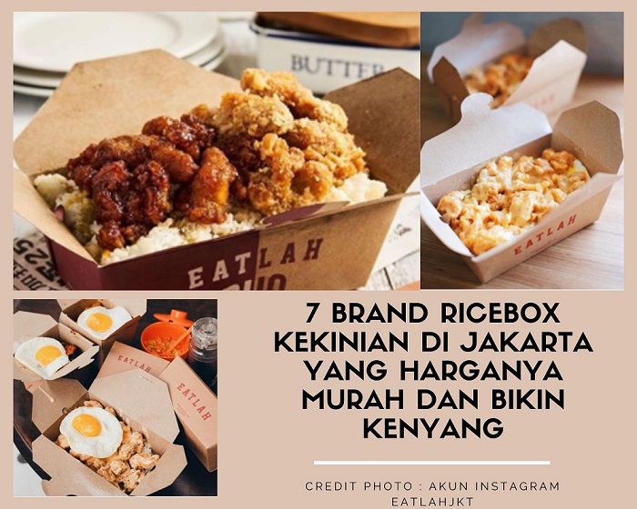 Detail Gambar Rice Box Nomer 25