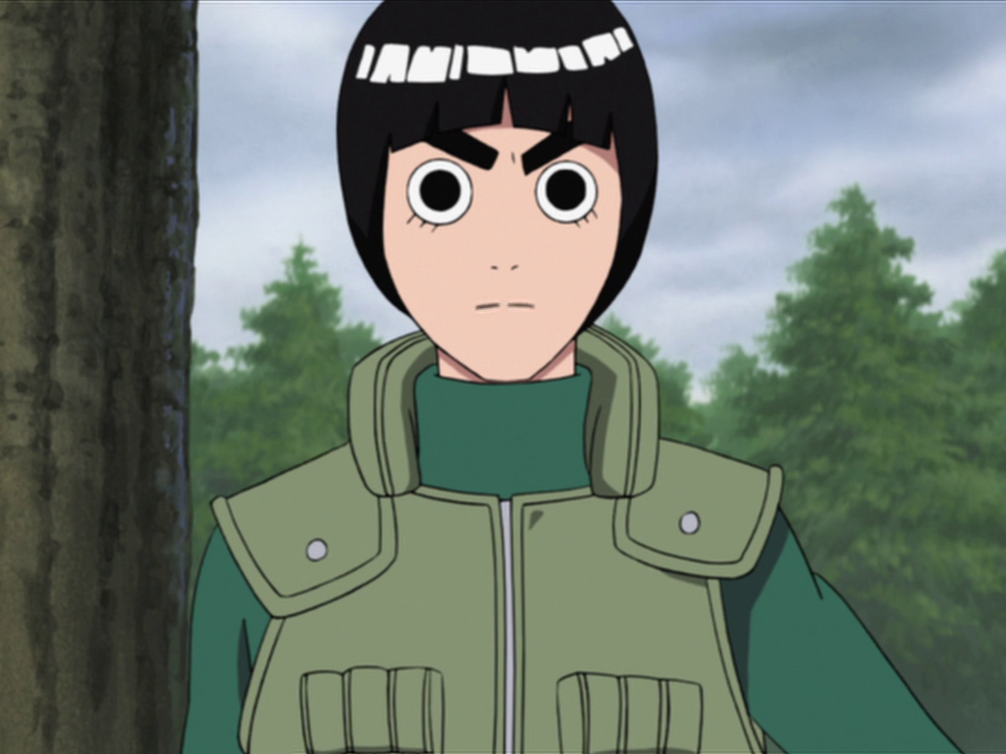 Detail Gambar Rock Lee Nomer 3