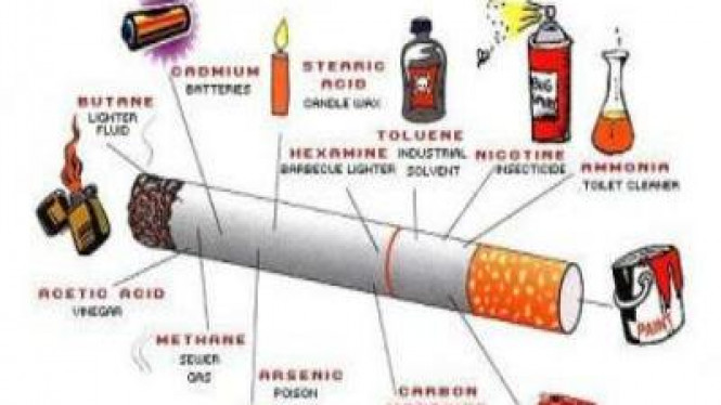 Detail Gambar Rokok Membunuhmu Nomer 24