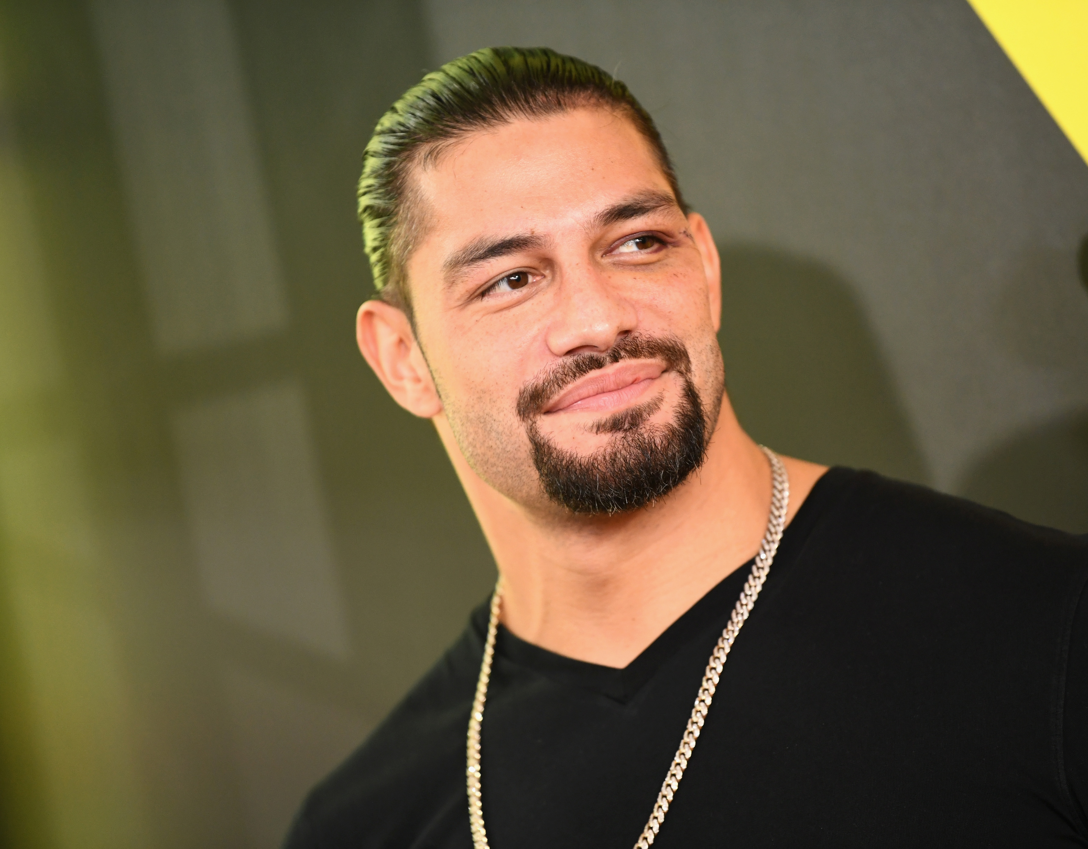 Detail Gambar Roman Reigns Nomer 14