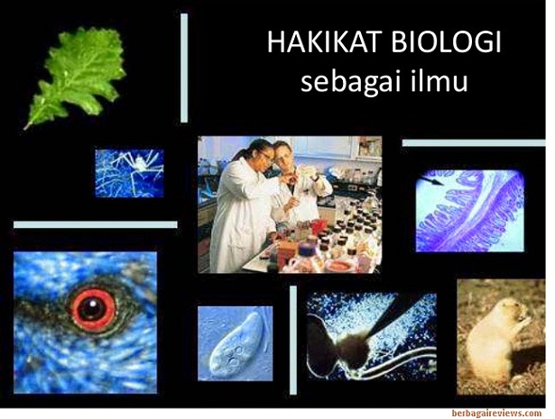 Detail Gambar Ruang Lingkup Biologi Nomer 53