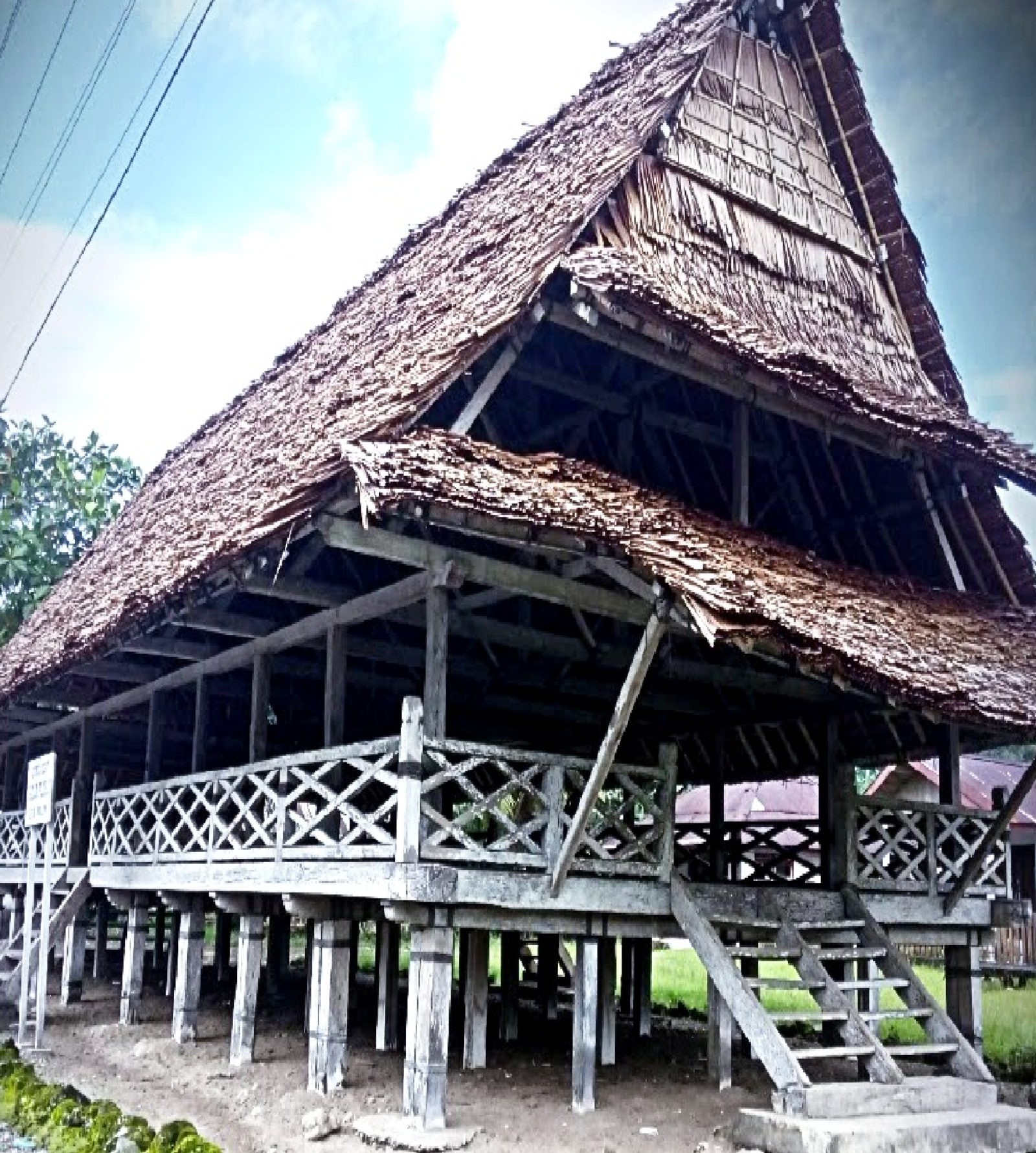 Detail Gambar Rumah Adat Baileo Nomer 11