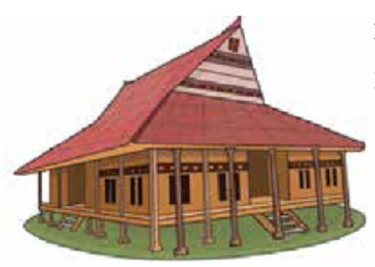 Detail Gambar Rumah Adat Baileo Nomer 7