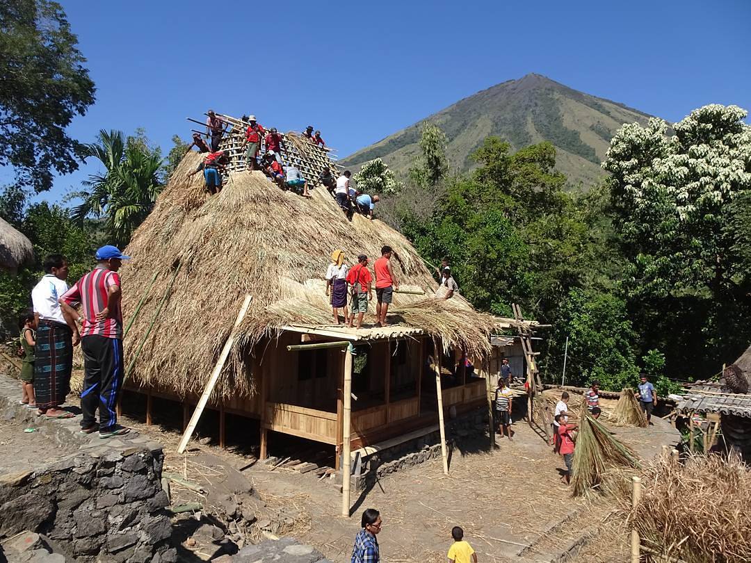 Detail Gambar Rumah Adat Bajawa Nomer 11