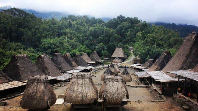 Detail Gambar Rumah Adat Bajawa Nomer 14