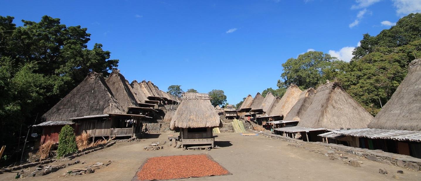 Detail Gambar Rumah Adat Bajawa Nomer 34