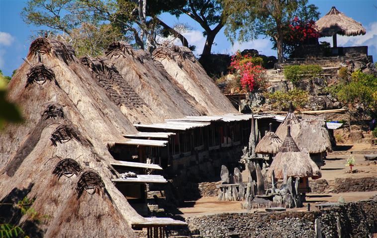 Detail Gambar Rumah Adat Bajawa Nomer 36