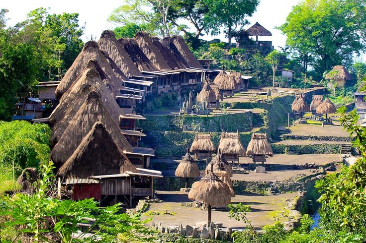 Gambar Rumah Adat Bena Bajawa - KibrisPDR