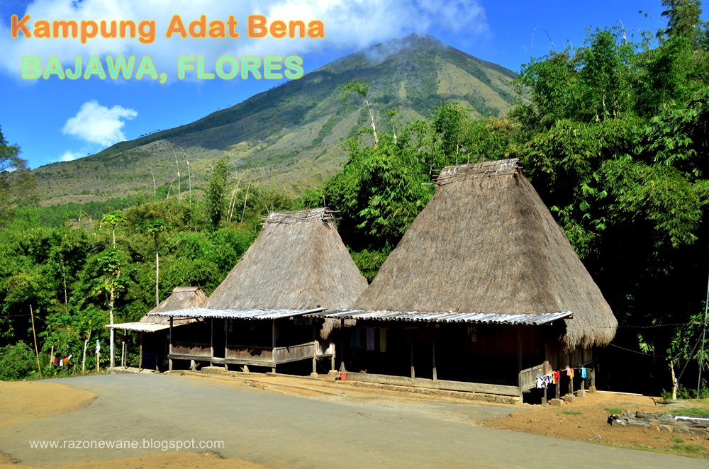 Detail Gambar Rumah Adat Bena Bajawa Nomer 50