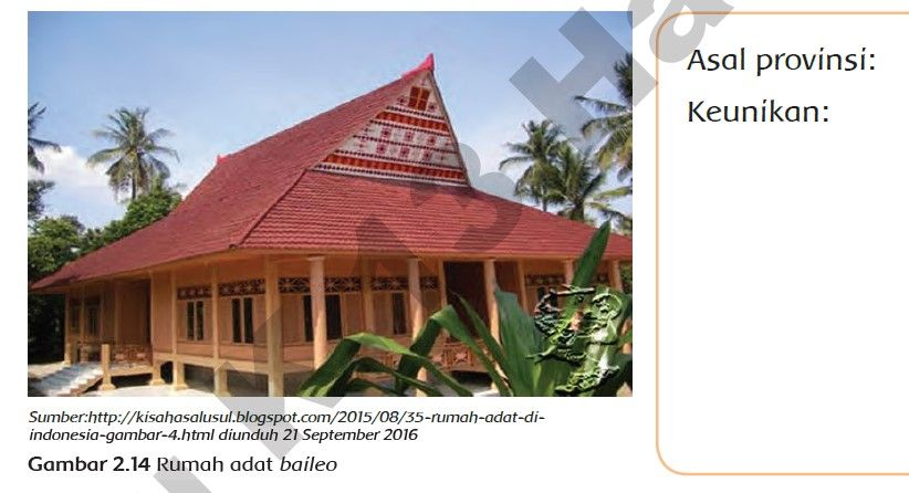 Detail Gambar Rumah Adat Dan Asal Provinsinya Nomer 13