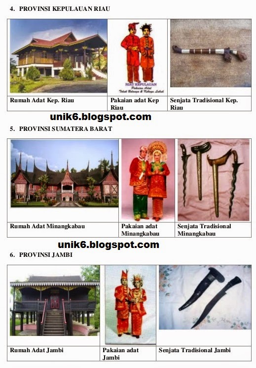 Detail Gambar Rumah Adat Dan Pakaian Adat 34 Provinsi Di Indonesia Nomer 40