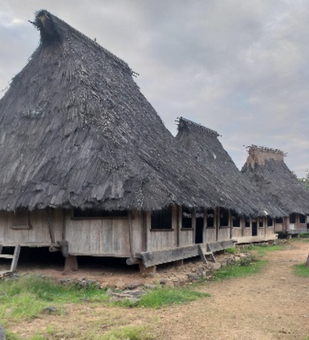 Gambar Rumah Adat Ende Lio 44+ Koleksi Gambar