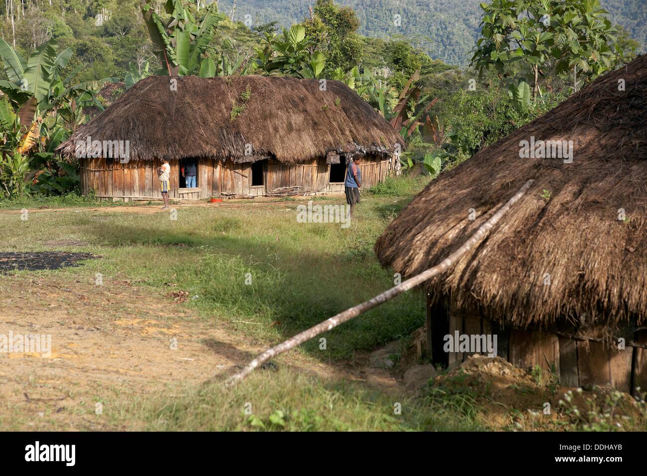 Detail Gambar Rumah Adat Irian Jaya Koleksi Nomer 50
