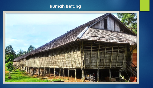 Detail Gambar Rumah Adat Kalimantan Tengah Nomer 43
