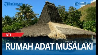 Detail Gambar Rumah Adat Musalaki Nomer 37