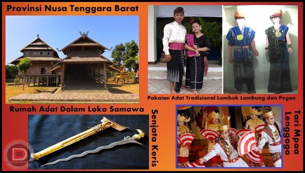 Detail Gambar Rumah Adat Nusa Tenggara Barat Nomer 43