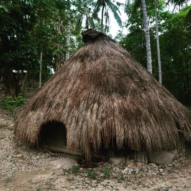 Detail Gambar Rumah Adat Nusa Tenggara Timur Nomer 26