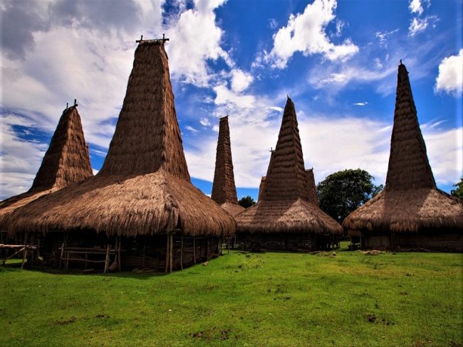 Detail Gambar Rumah Adat Nusa Tenggara Timur Nomer 52