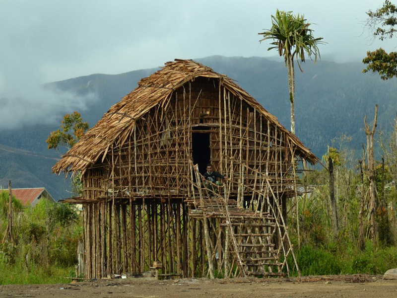 Detail Gambar Rumah Adat Papua Barat Nomer 19