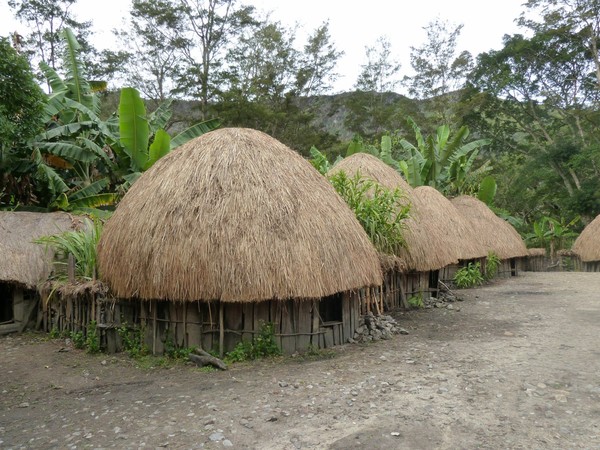 Detail Gambar Rumah Adat Papua Barat Nomer 29