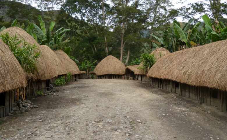 Detail Gambar Rumah Adat Papua Barat Nomer 34