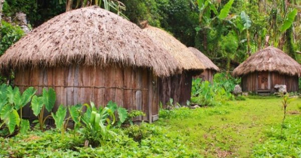 Detail Gambar Rumah Adat Papua Barat Nomer 6