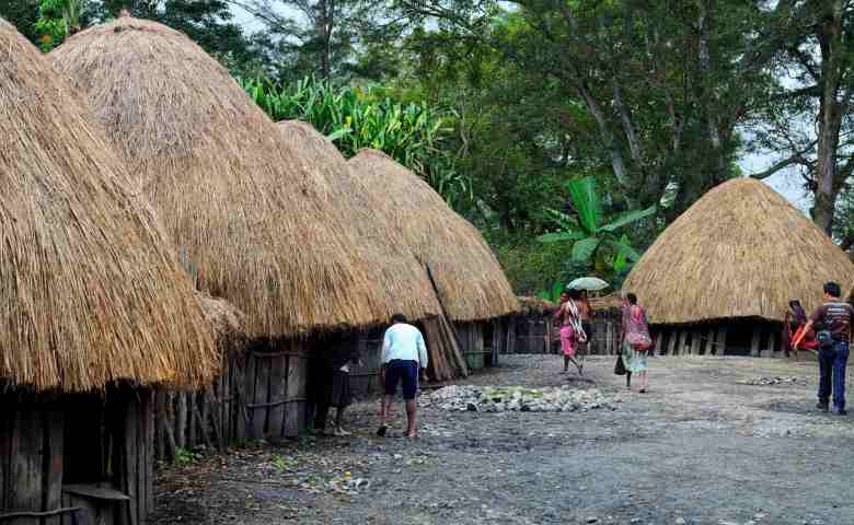 Detail Gambar Rumah Adat Papua Barat Nomer 49