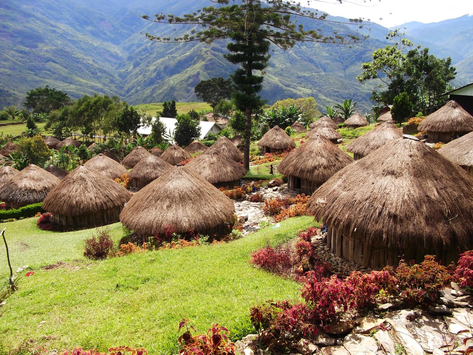 Detail Gambar Rumah Adat Papua Barat Nomer 55