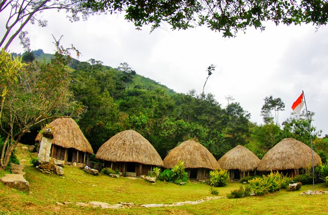 Detail Gambar Rumah Adat Papua Honai Nomer 30